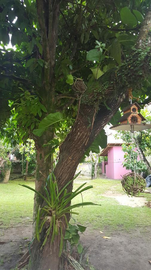 Pousada Grafite Trancoso Bagian luar foto